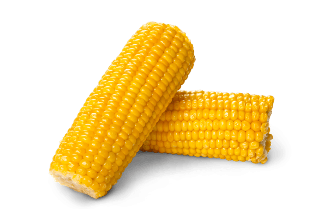 Corn Transparent PNG Image