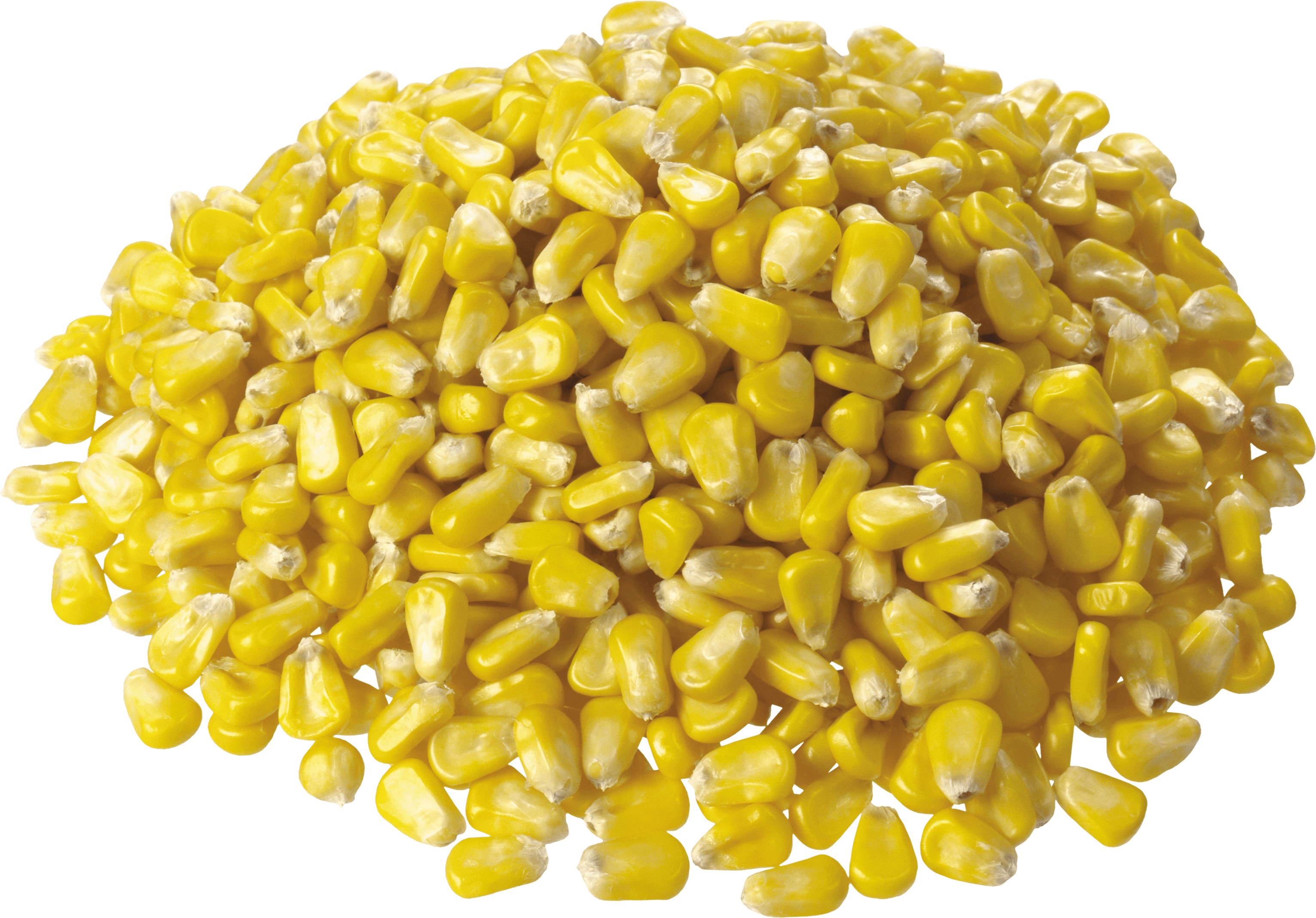 Corn Transparent PNG Image