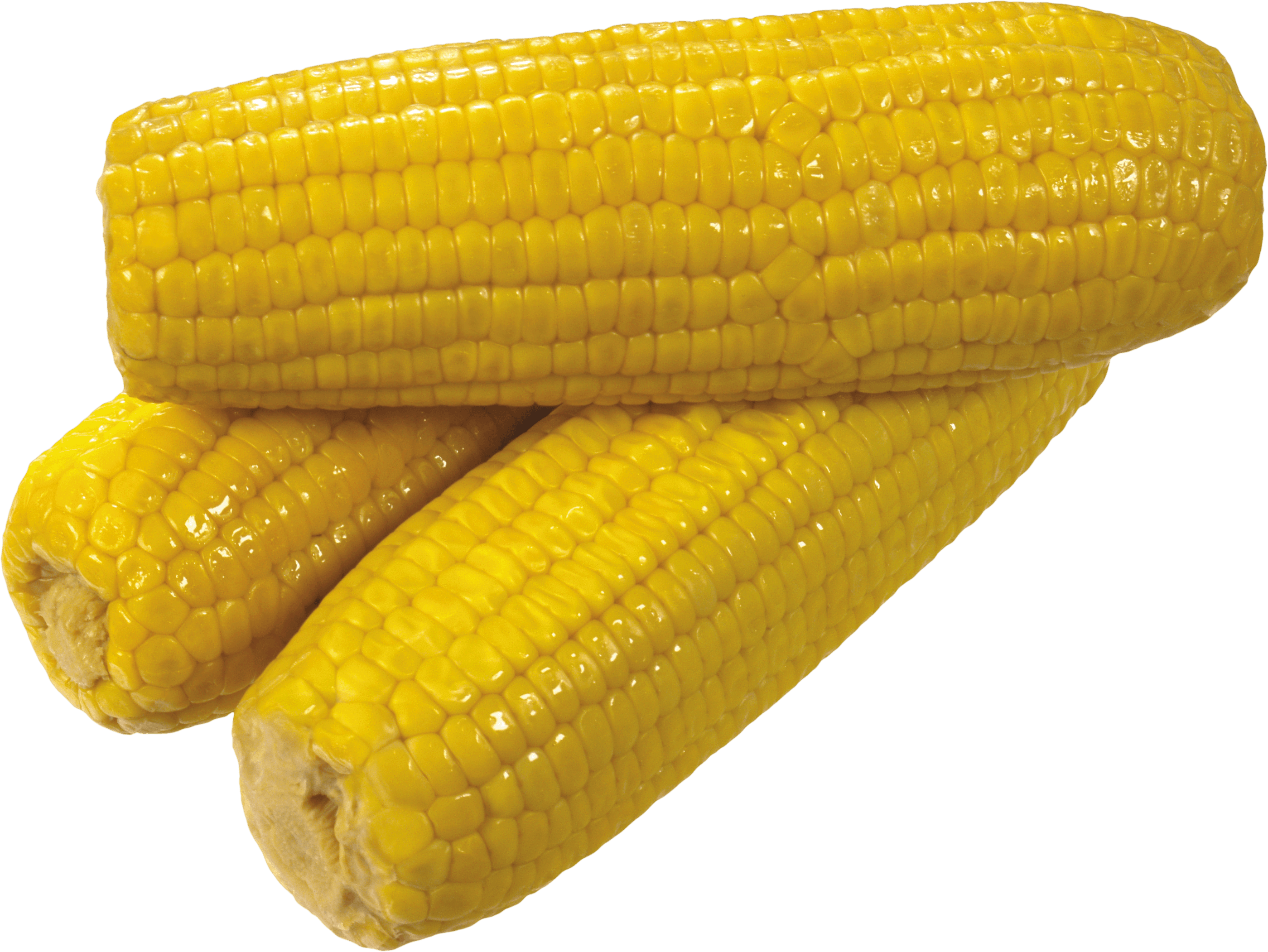 Yellow Corn Transparent PNG Image