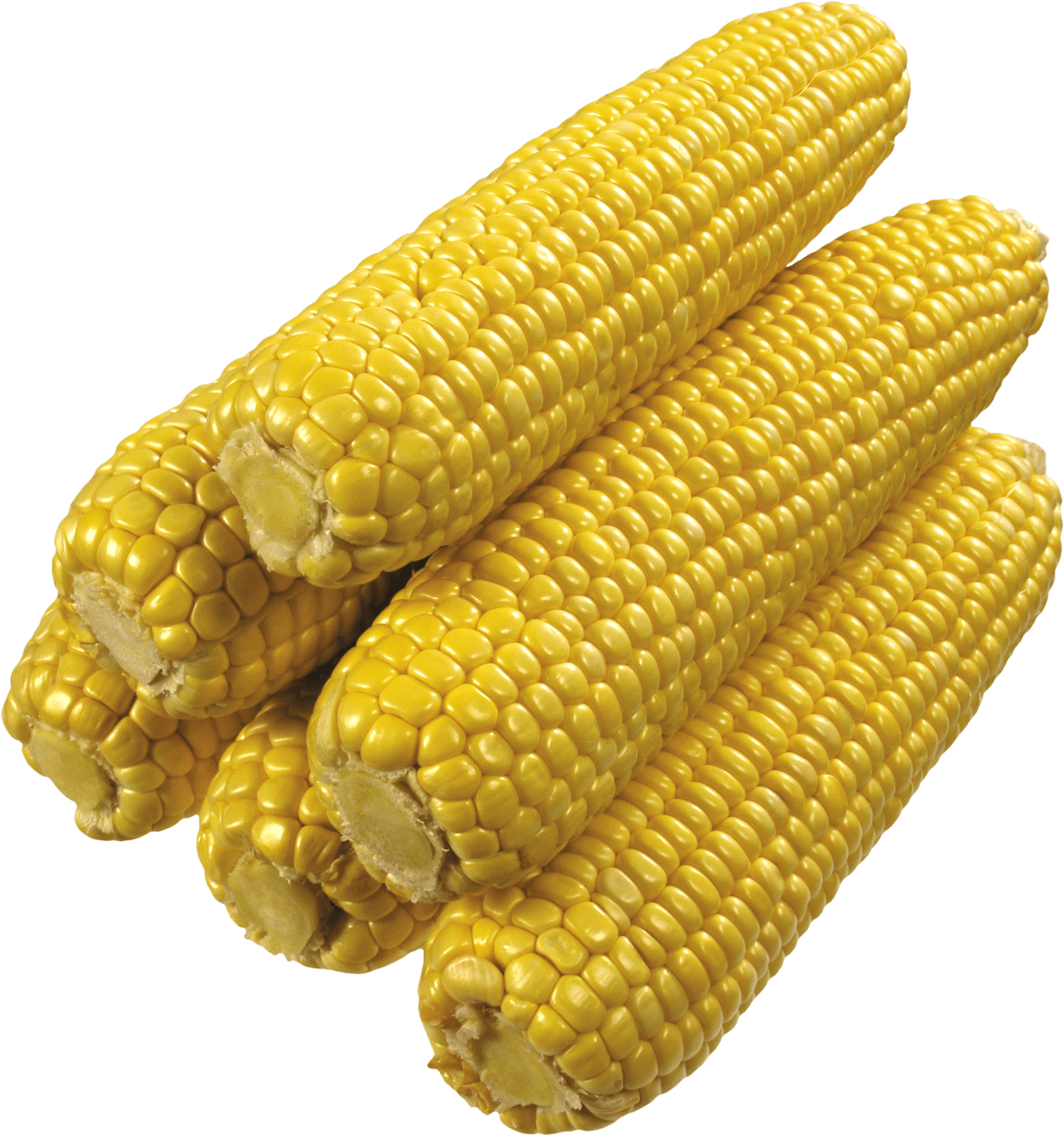 Corn Transparent PNG Image