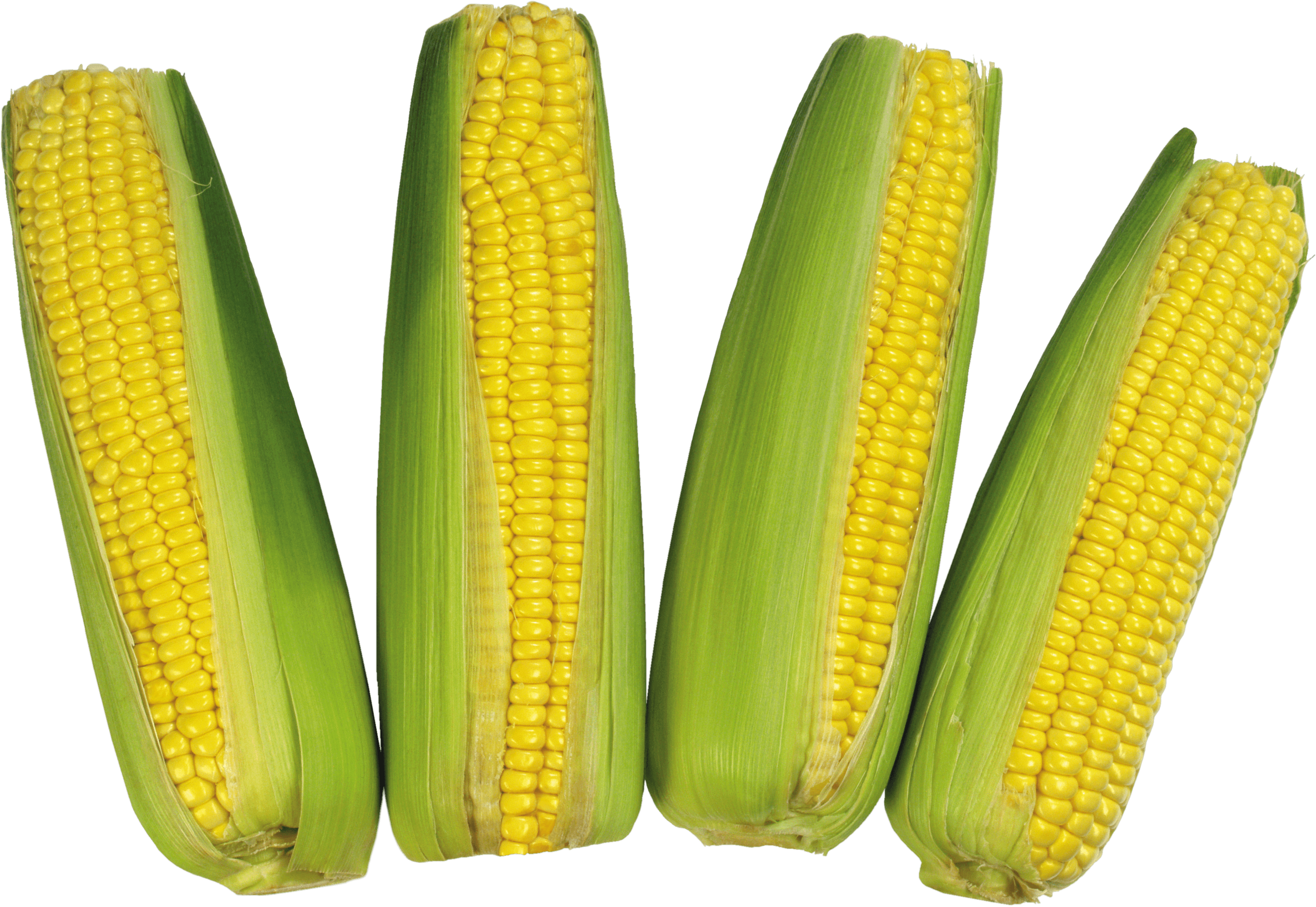 Corn Transparent PNG Image