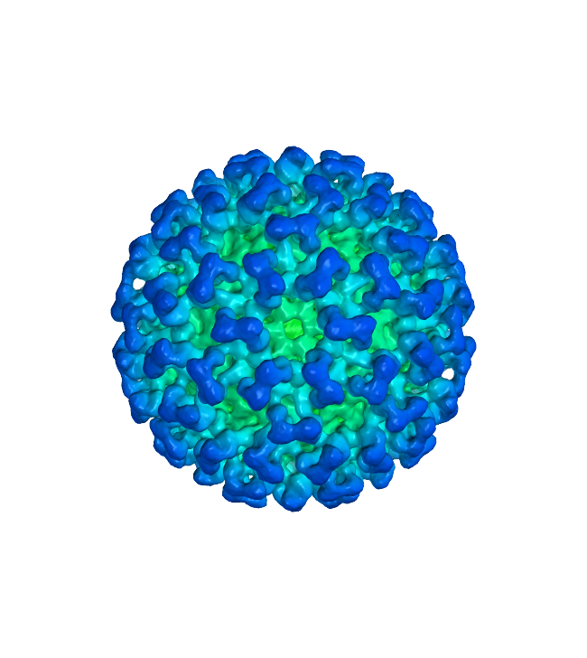 Covid-19 Transparent PNG Image