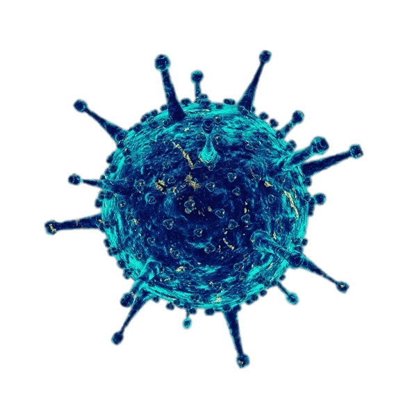 Coronavirus Transparent PNG Image
