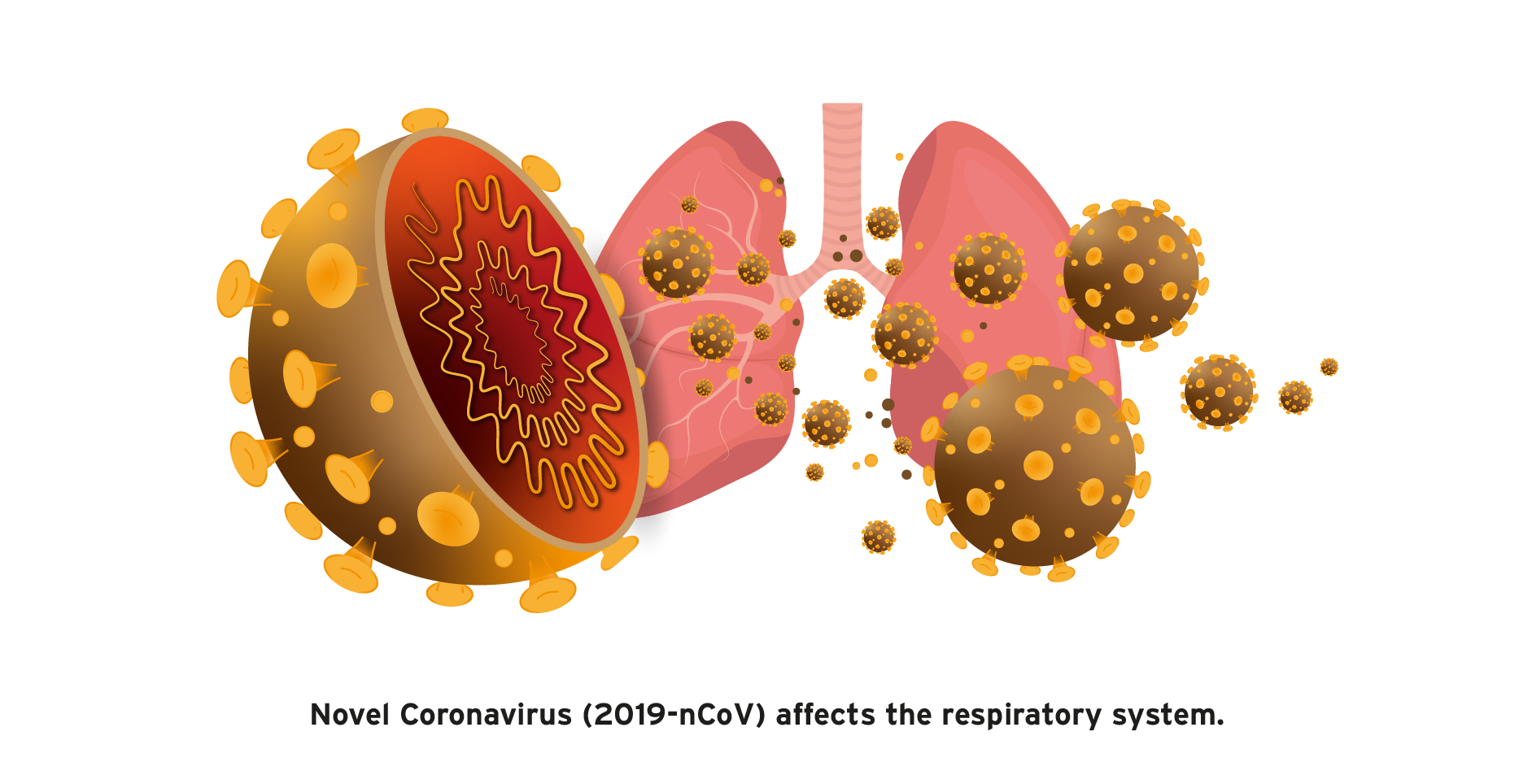 Coronavirus Transparent PNG Image