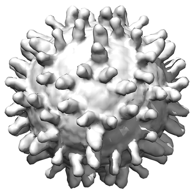 Coronavirus Transparent PNG Image