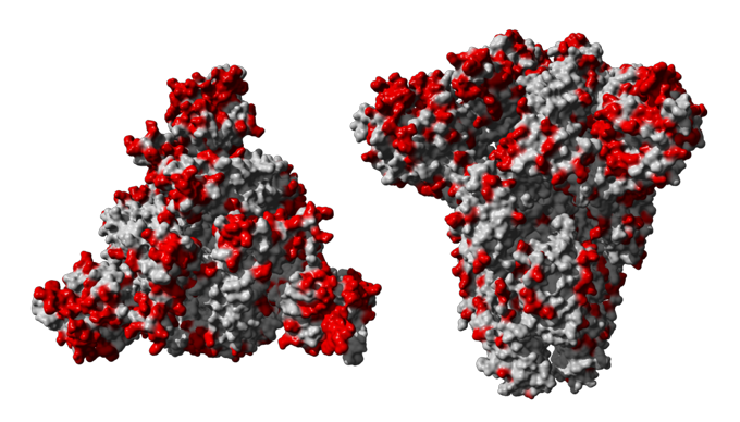 Coronavirus Transparent PNG Image
