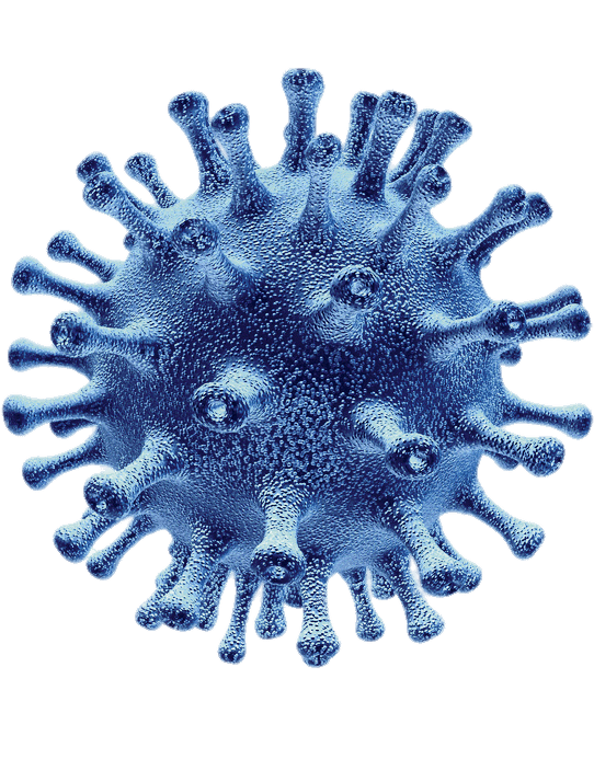 Coronavirus Transparent PNG Image