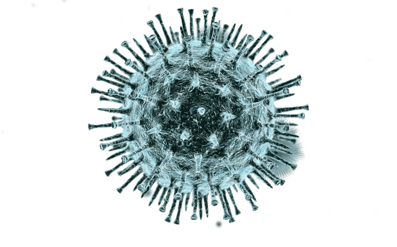 Coronavirus Transparent PNG Image