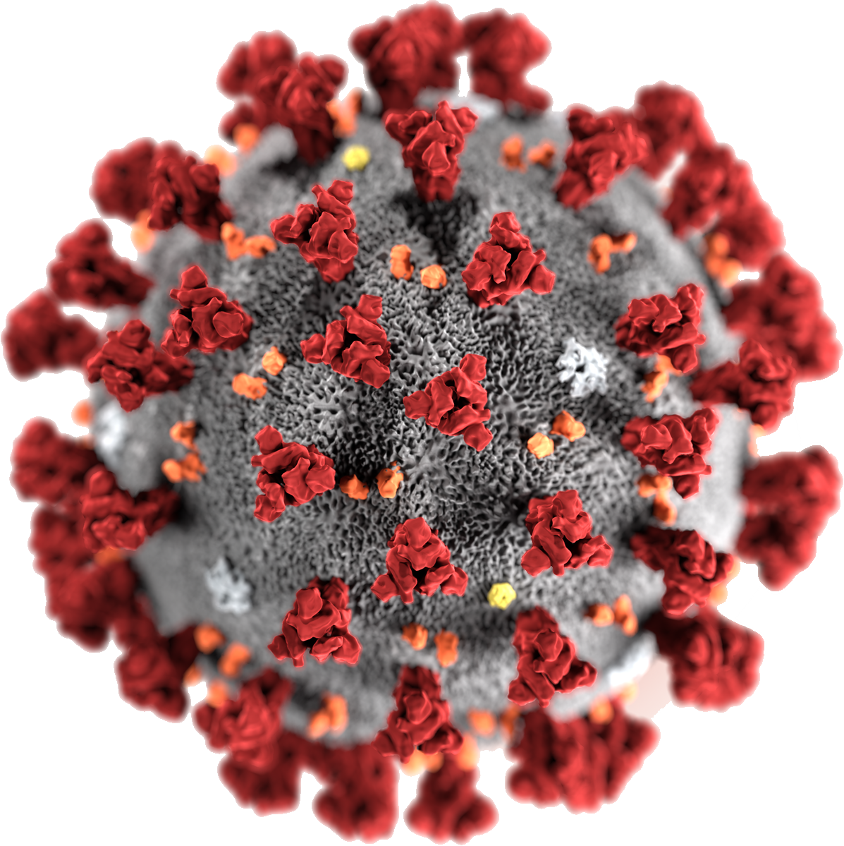 Coronavirus File Transparent PNG Image