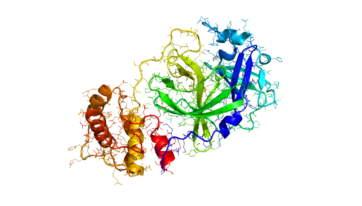 Coronavirus Transparent PNG Image
