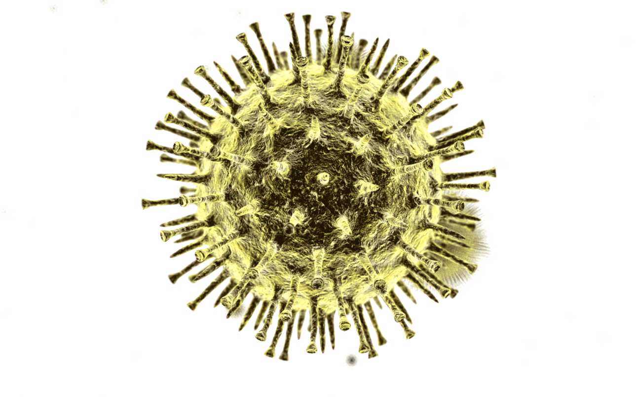 Coronavirus Disease File Transparent PNG Image