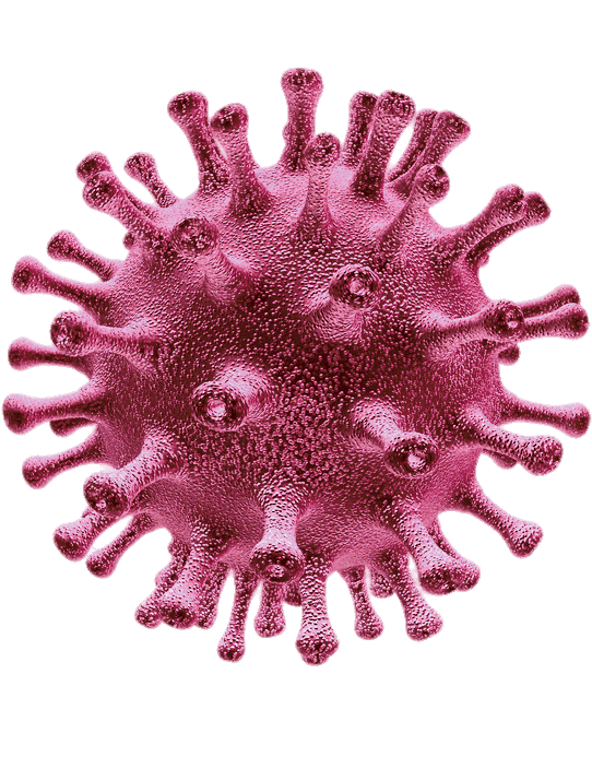 Coronavirus Disease Transparent PNG Image