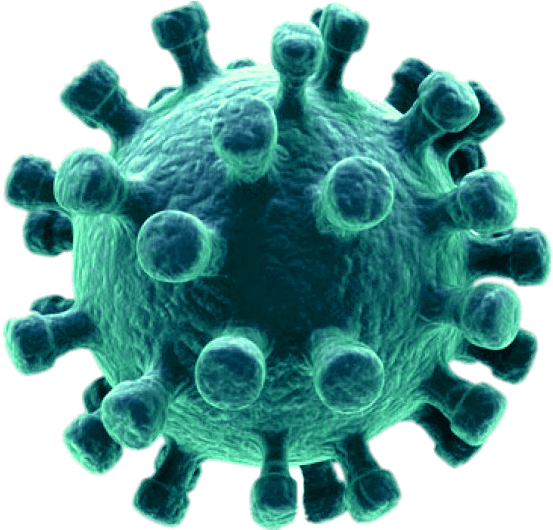 Coronavirus Disease Transparent PNG Image