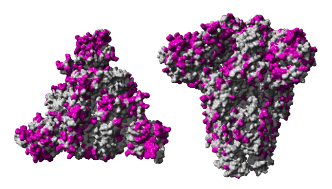 Pic Coronavirus Disease Transparent PNG Image