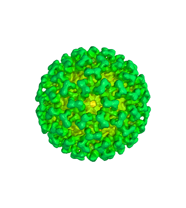 Coronavirus Disease Transparent PNG Image