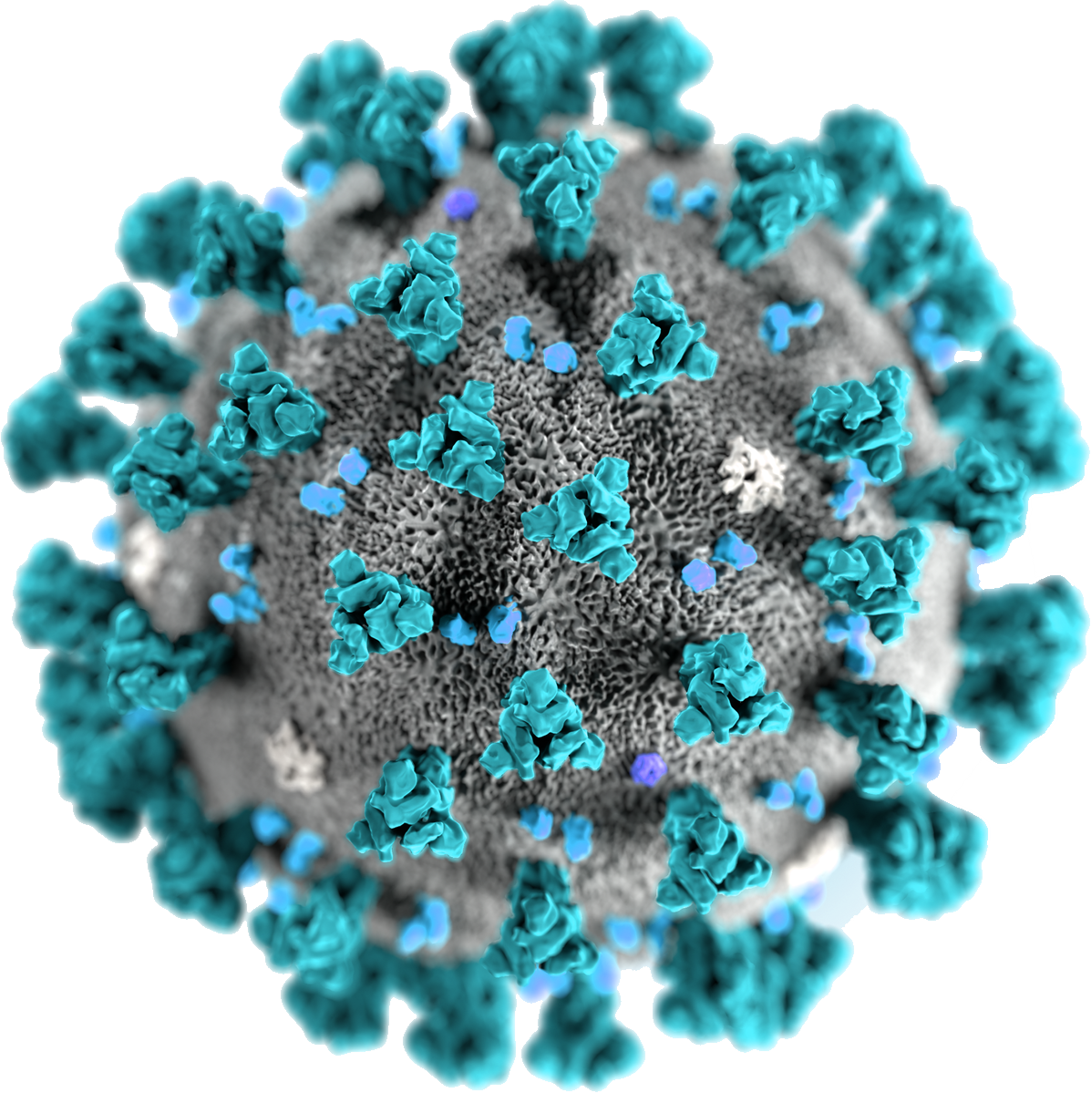 Coronavirus Disease Transparent PNG Image