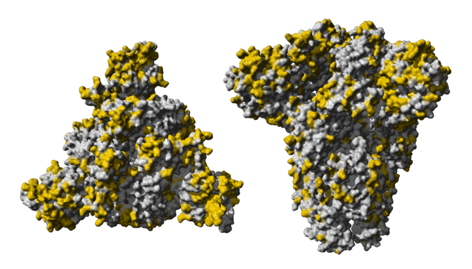 Coronavirus Disease File Transparent PNG Image