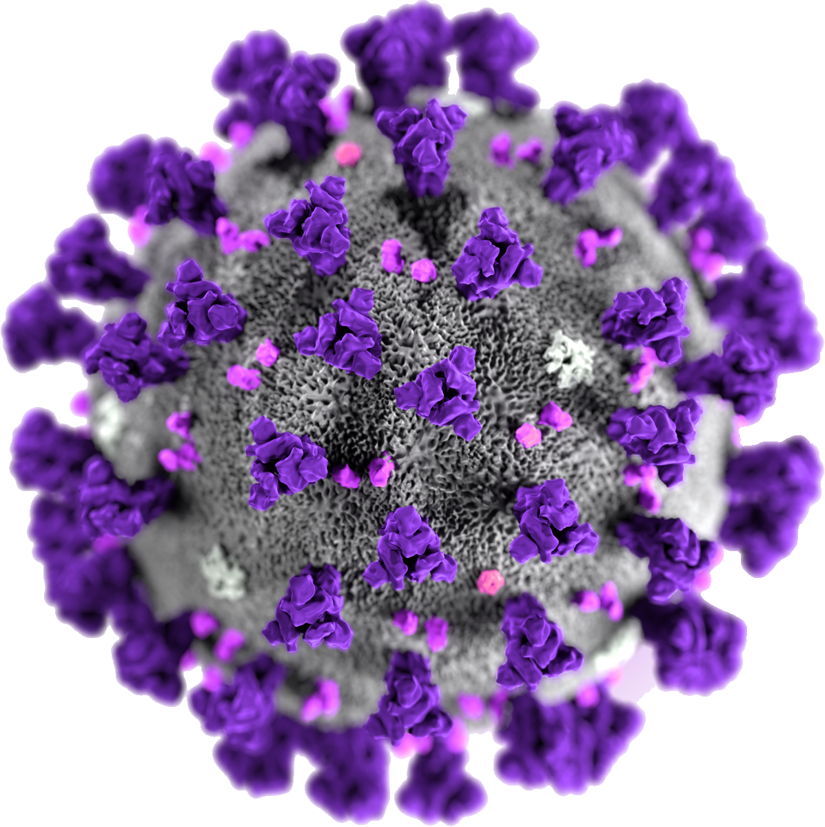 Coronavirus Disease Transparent PNG Image