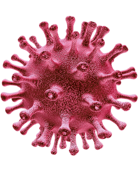 Coronavirus Disease Transparent PNG Image