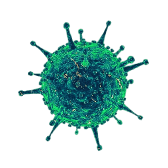Virus Covid-19 Transparent PNG Image