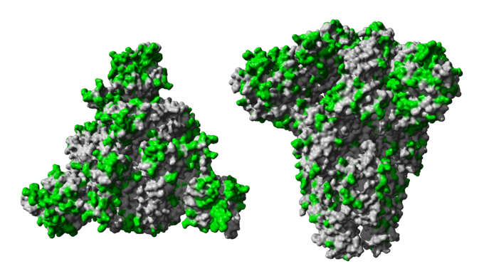 Virus Covid-19 Transparent PNG Image