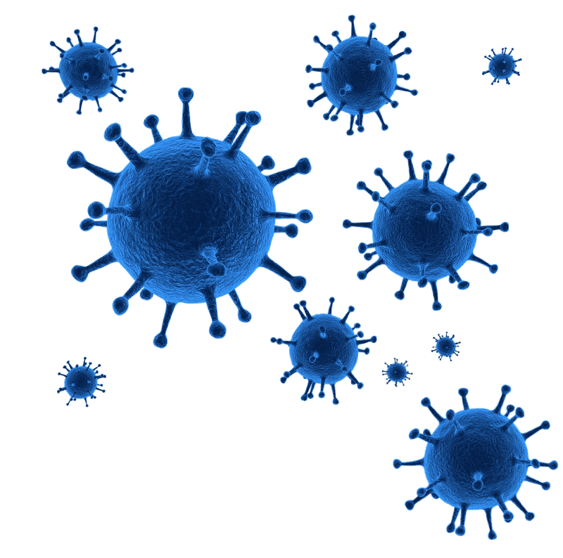 Virus Covid-19 Transparent PNG Image