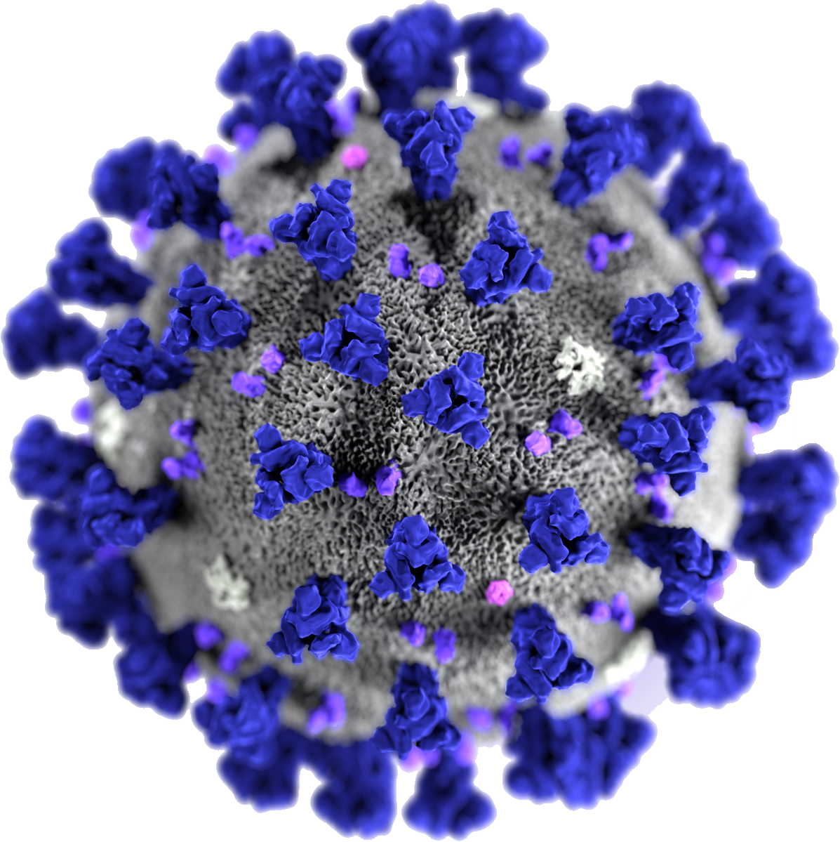 Virus Covid-19 Transparent PNG Image