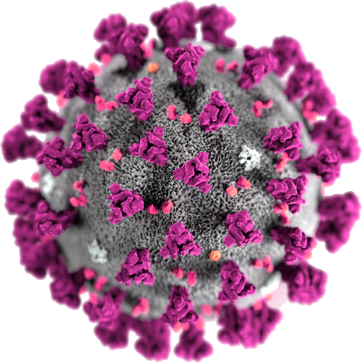 Virus Covid-19 Transparent PNG Image