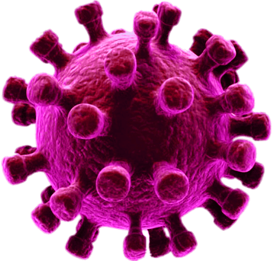 Virus Covid-19 Transparent PNG Image