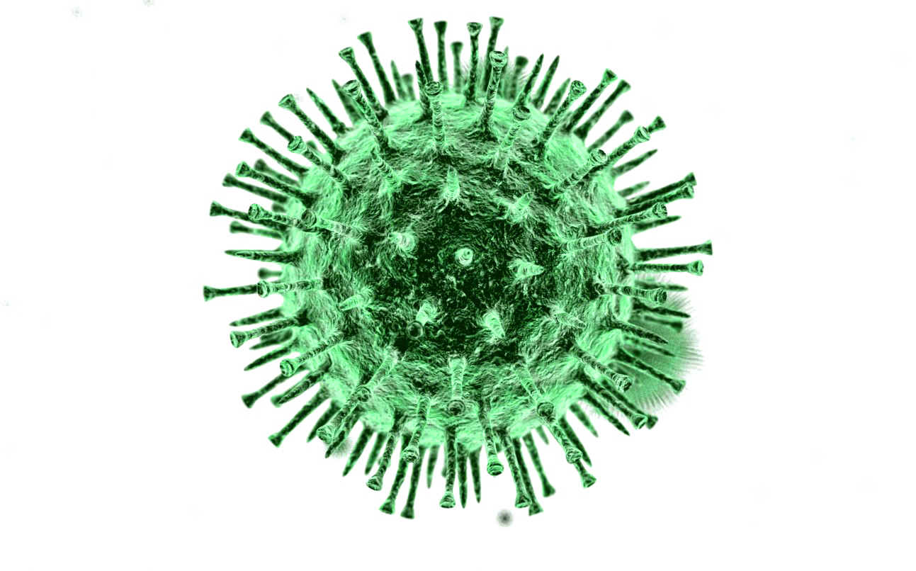 Virus Covid-19 Transparent PNG Image