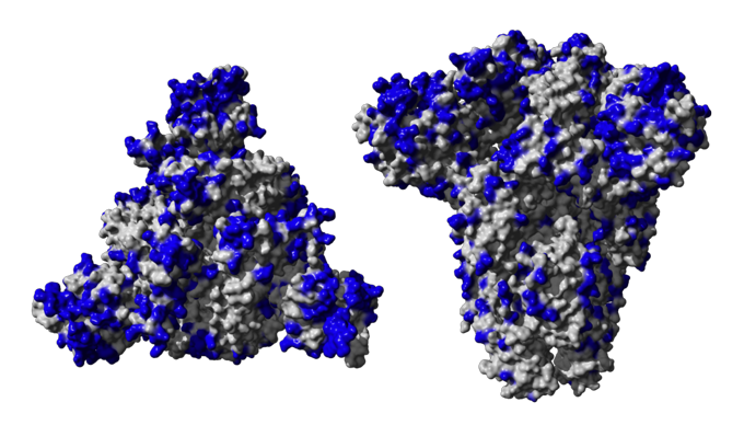 Virus Covid-19 File Transparent PNG Image