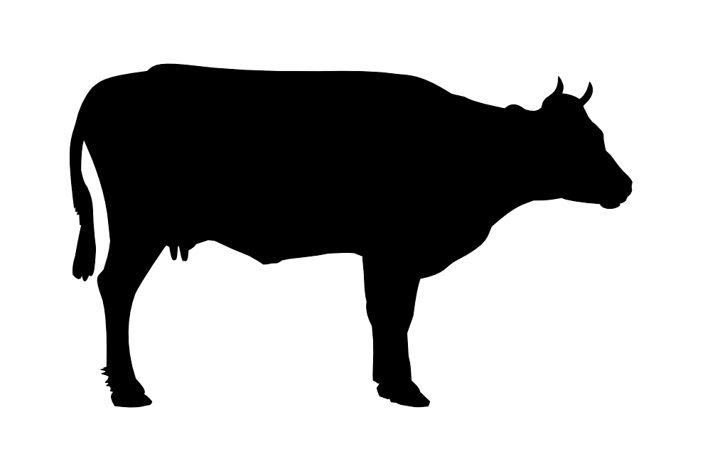Black Cow Siluete Transparent PNG Image
