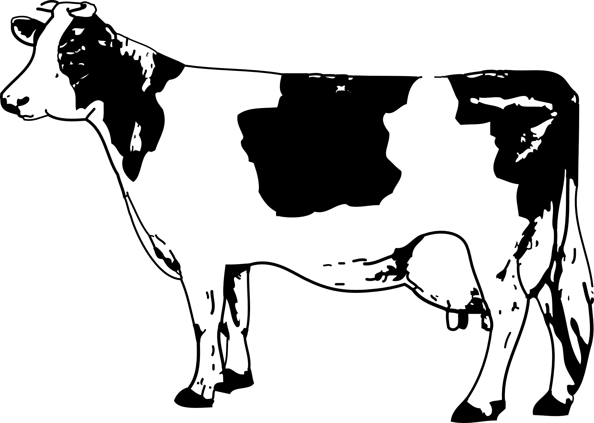 Cow Transparent PNG Image