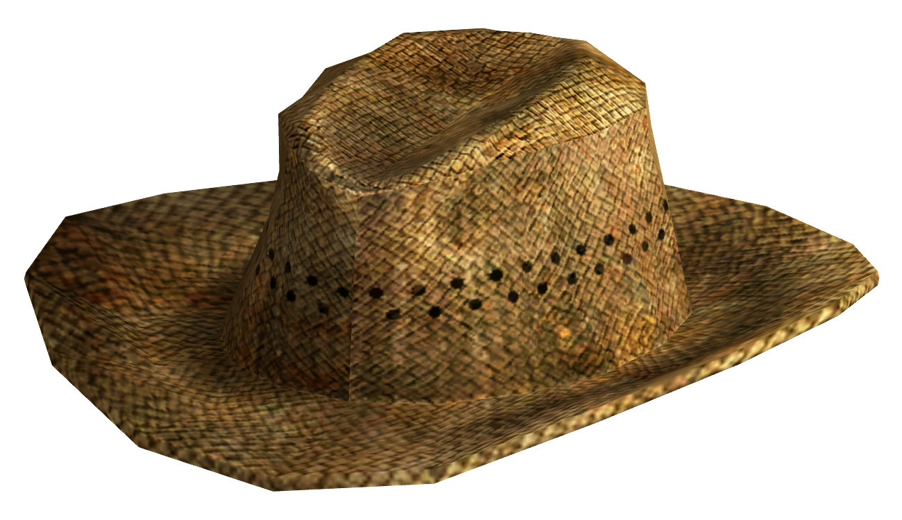 Cowboy Hat Transparent PNG Image