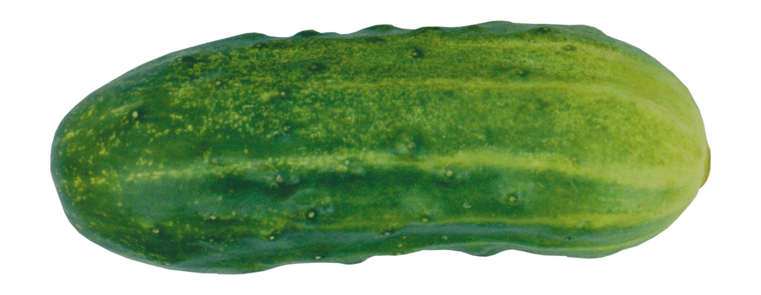 Green Cucumber Transparent PNG Image