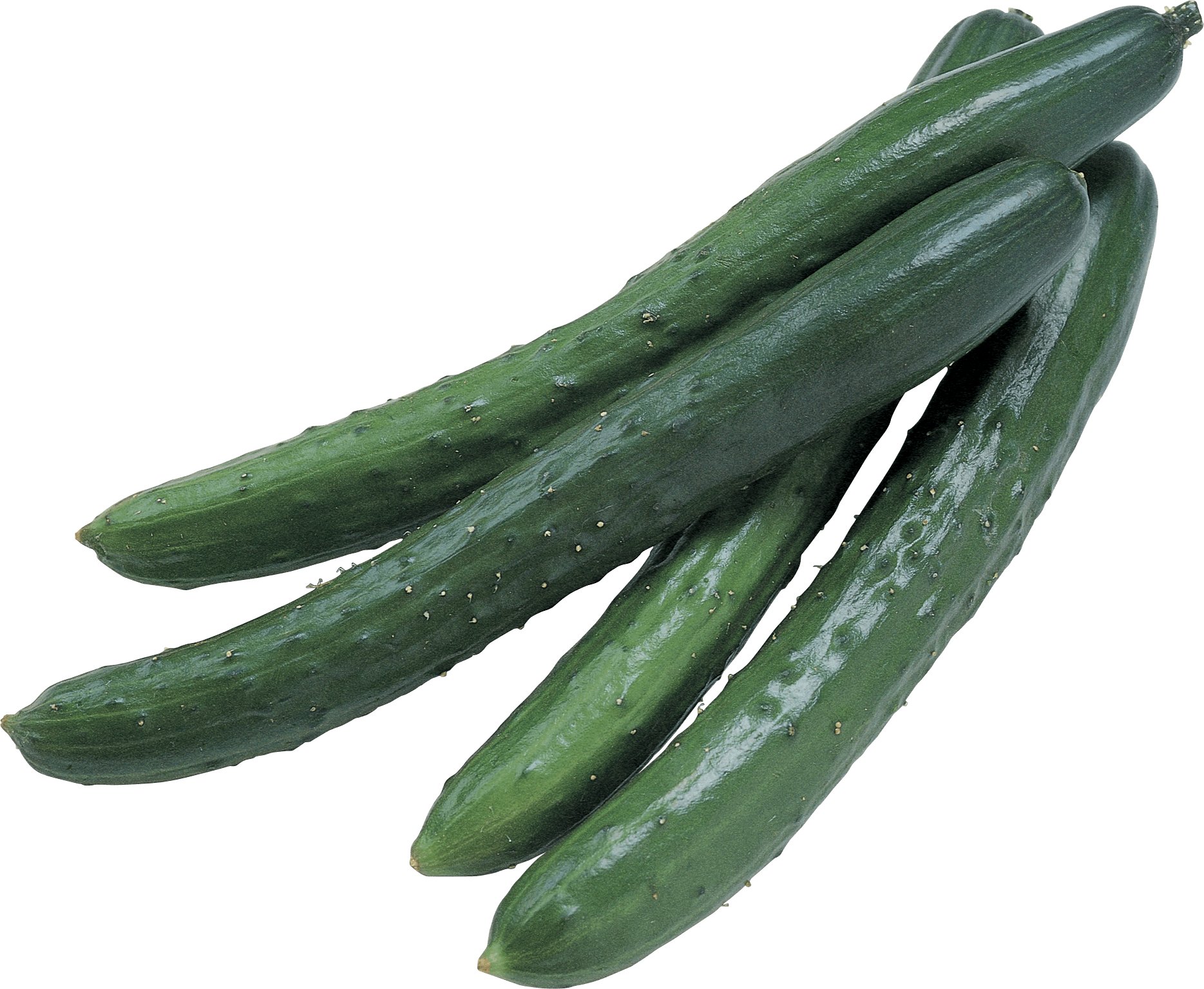 Cucumbers Transparent PNG Image
