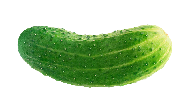 Cucumber Transparent PNG Image