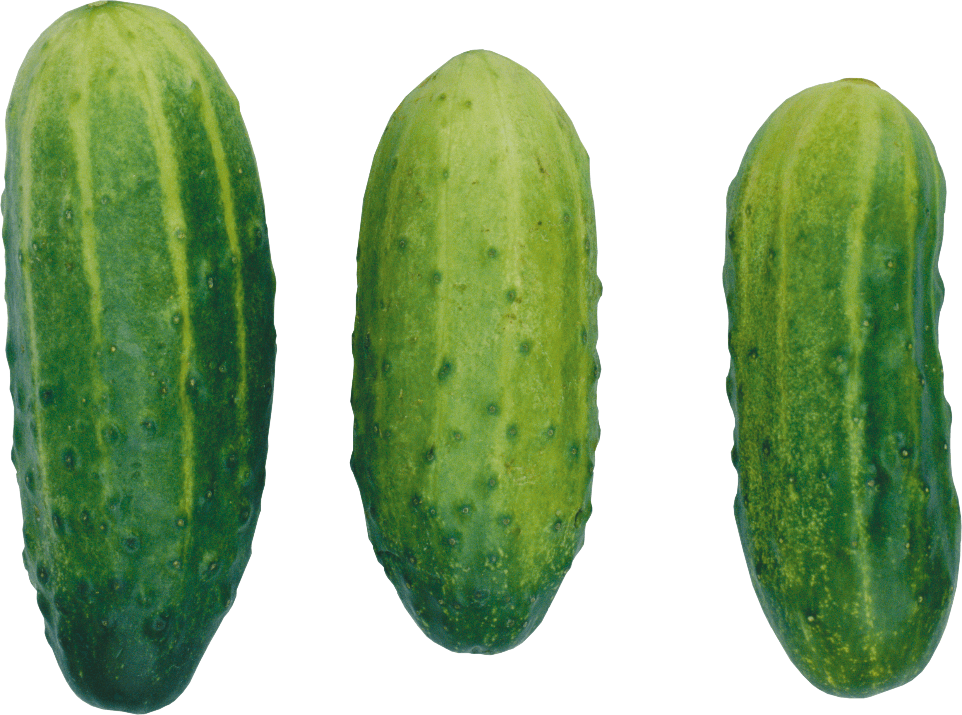 Cucumbers Transparent PNG Image