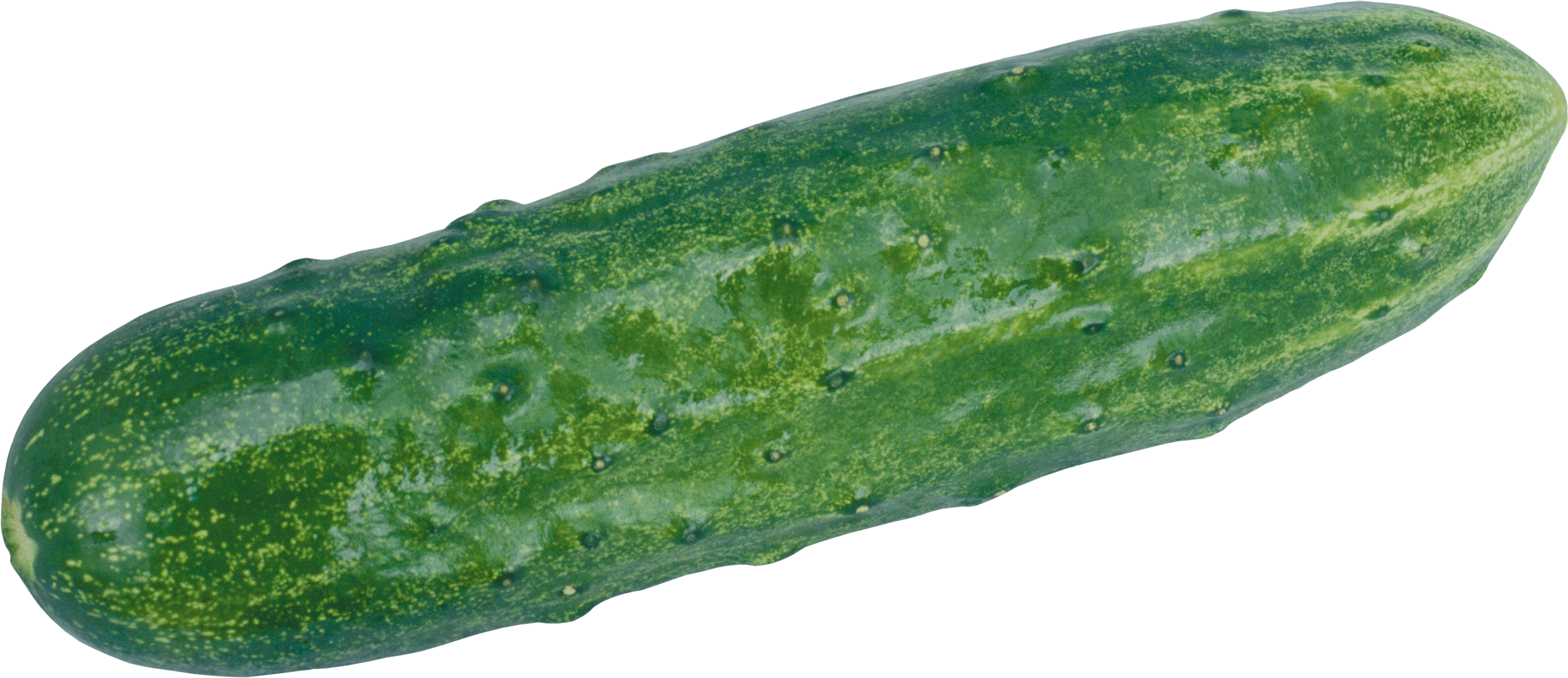Green Cucumber Transparent PNG Image