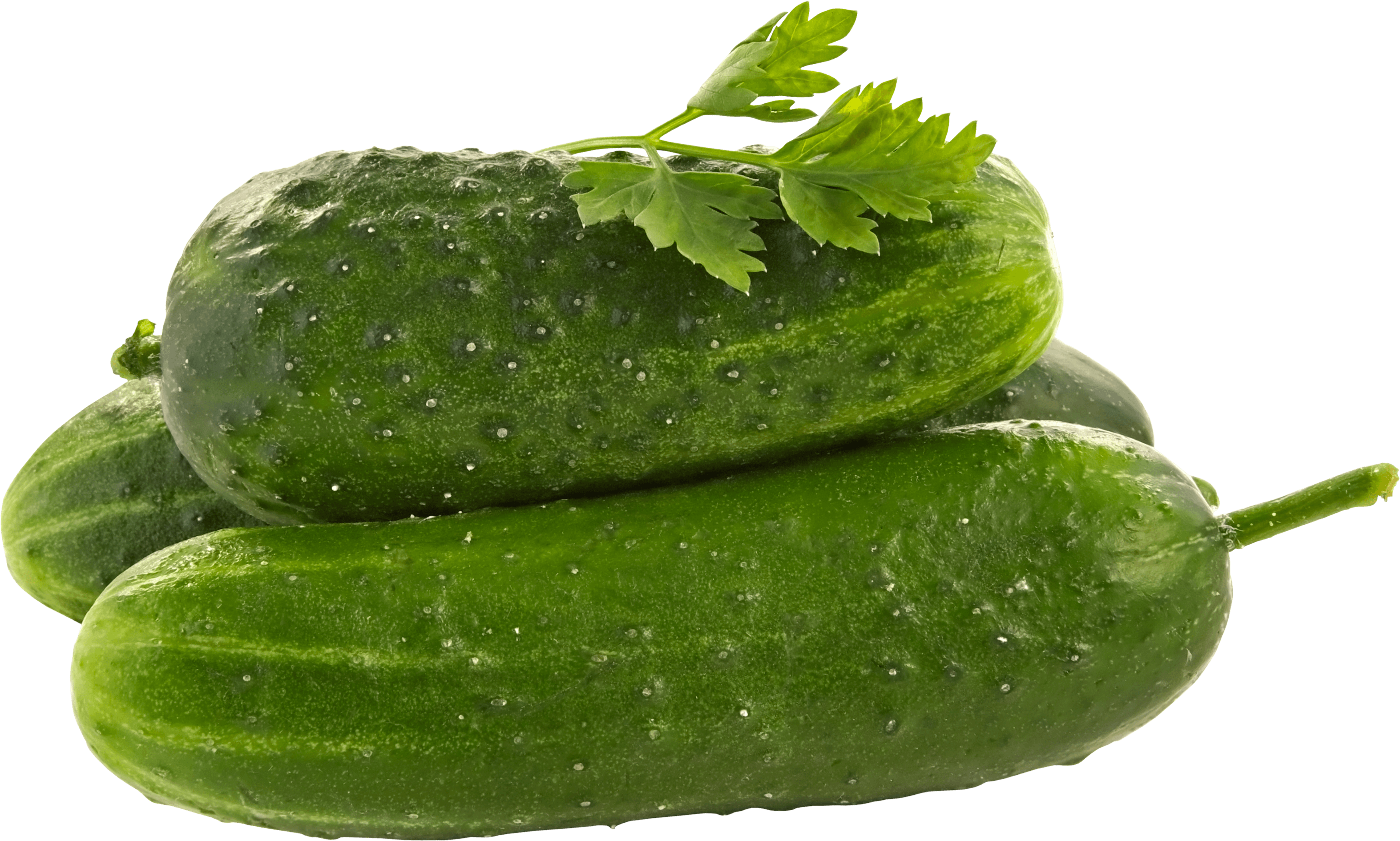 Green Cucumber Transparent PNG Image
