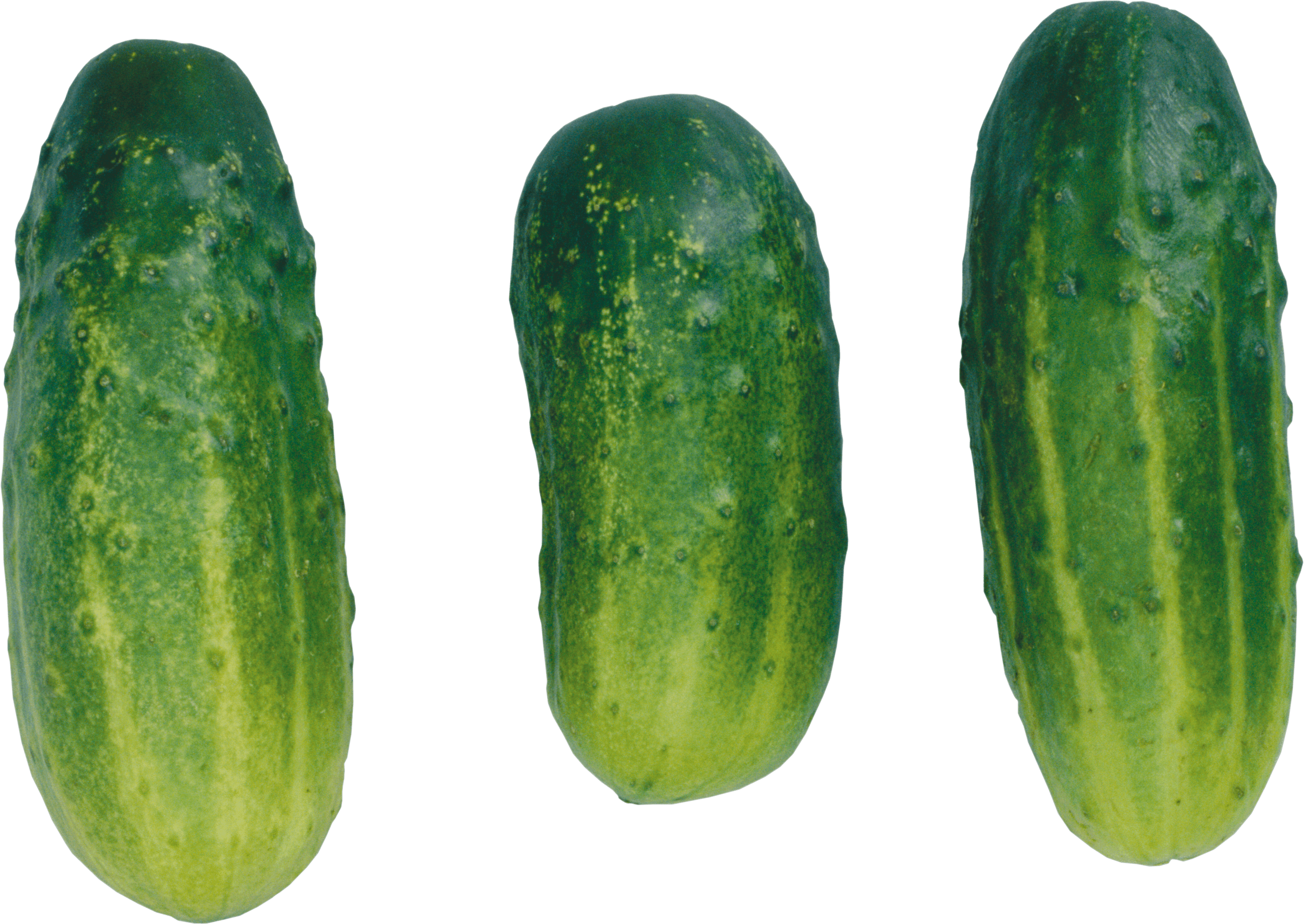 Cucumbers Transparent PNG Image