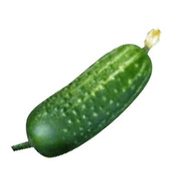 Cucumber Transparent PNG Image