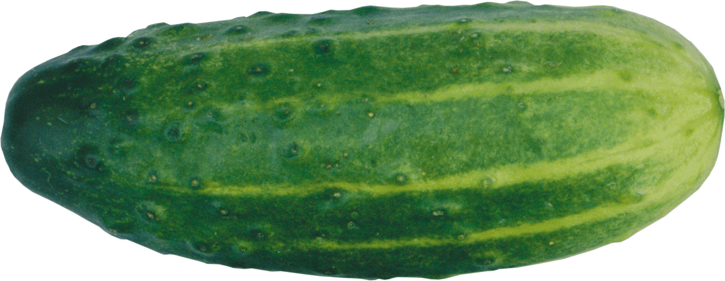 Green Cucumber Transparent PNG Image