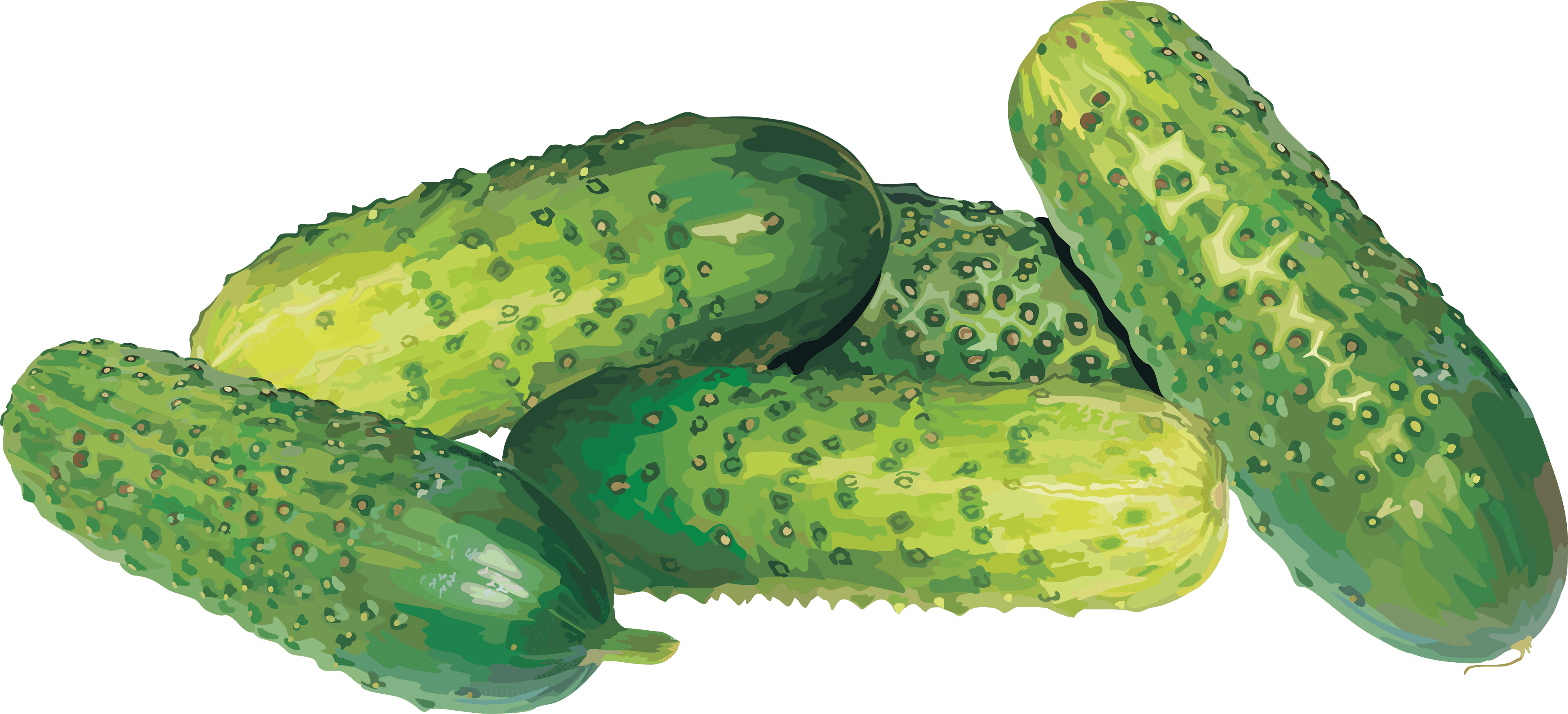 Cucumber Transparent PNG Image