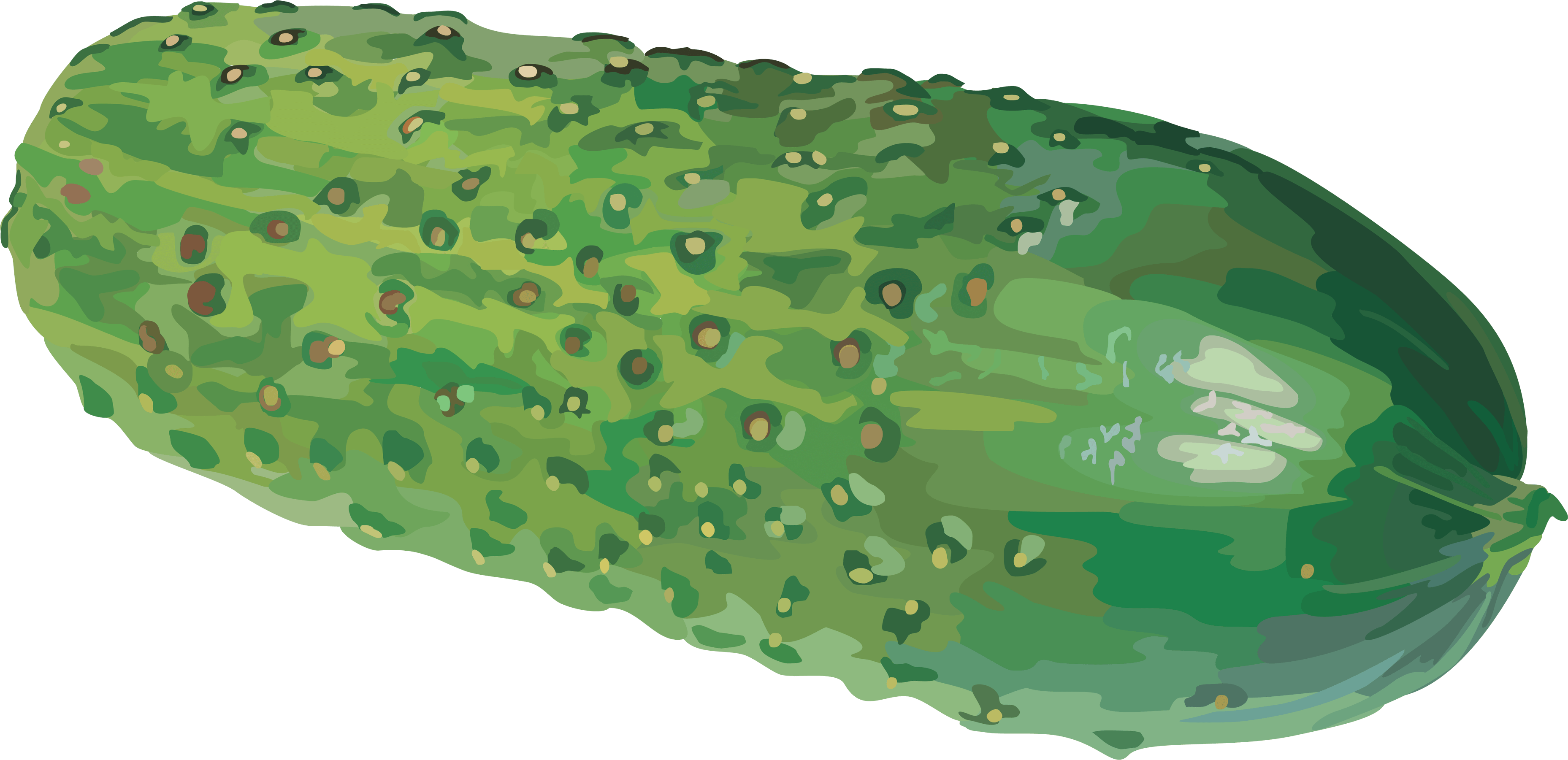 Green Cucumber Transparent PNG Image