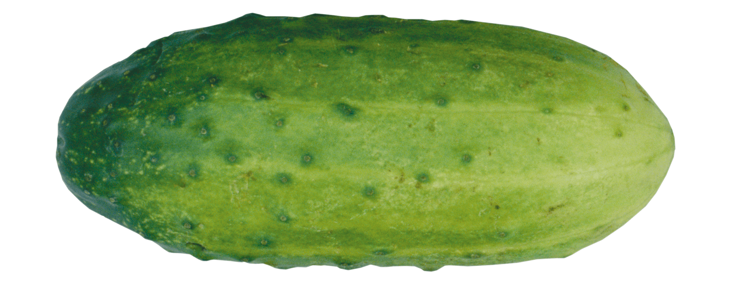 Green Cucumber Transparent PNG Image