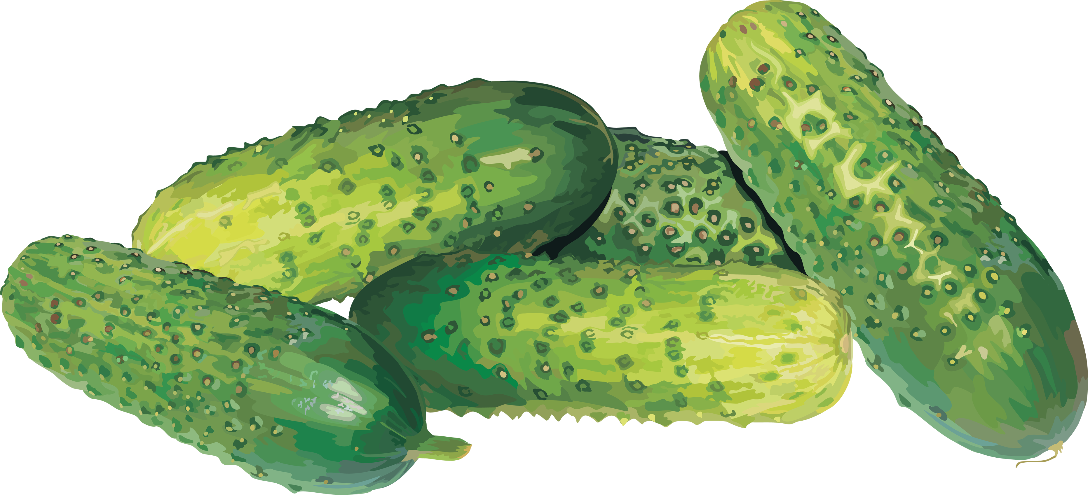 Cucumber Transparent PNG Image