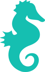 Cute Seahorse Transparent PNG Image