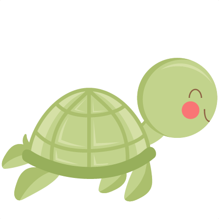 Cute Turtle Transparent PNG Image