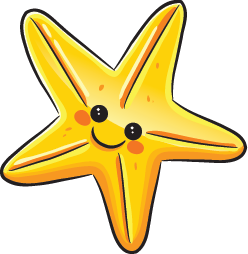 Cute Starfish Transparent PNG Image